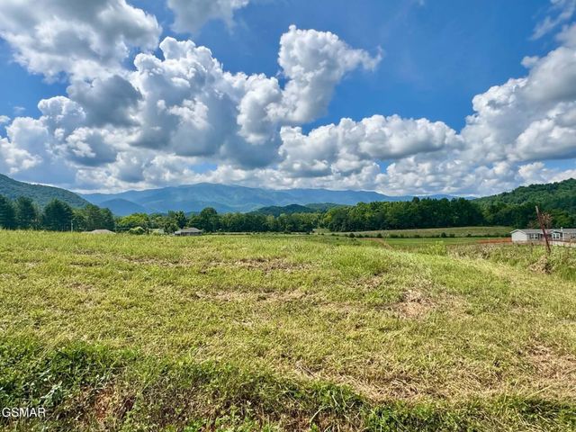5418 Cocke County Line Road, Cosby, TN 37722