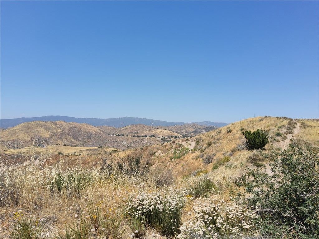 Image 24 of property listing at 0 9, Agua Dulce, CA 91351