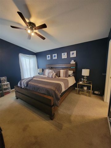 10742 SHADY PRESERVE DRIVE, Riverview, FL 33579