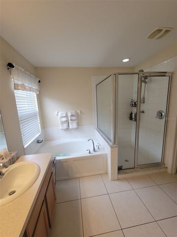 10742 SHADY PRESERVE DRIVE, Riverview, FL 33579