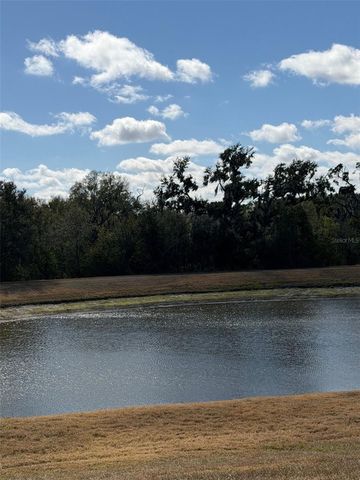 10742 SHADY PRESERVE DRIVE, Riverview, FL 33579