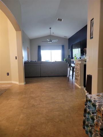 10742 SHADY PRESERVE DRIVE, Riverview, FL 33579