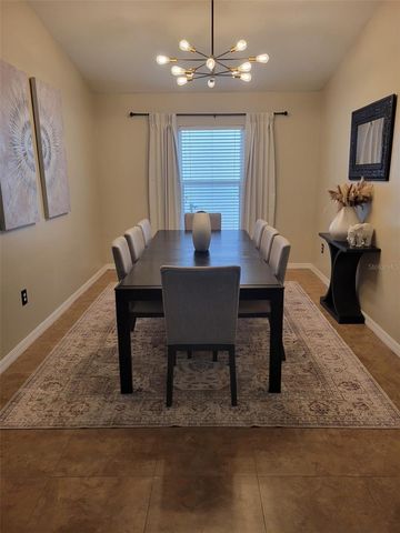 10742 SHADY PRESERVE DRIVE, Riverview, FL 33579