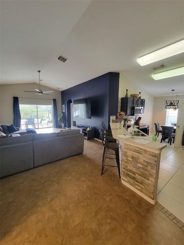 10742 SHADY PRESERVE DRIVE, Riverview, FL 33579