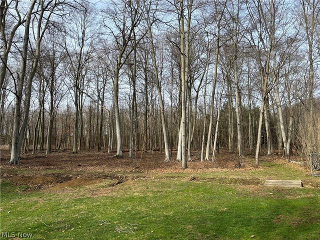 15961 Terramont Street NE, Minerva, OH 44657