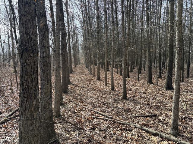 15961 Terramont Street NE, Minerva, OH 44657