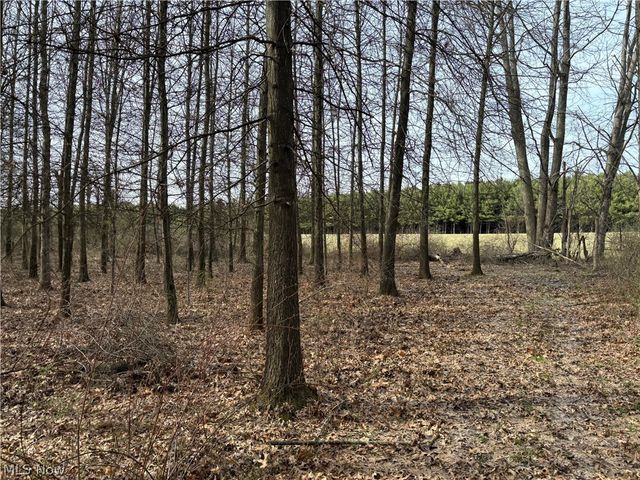 15961 Terramont Street NE, Minerva, OH 44657