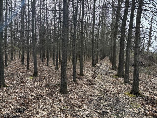 15961 Terramont Street NE, Minerva, OH 44657