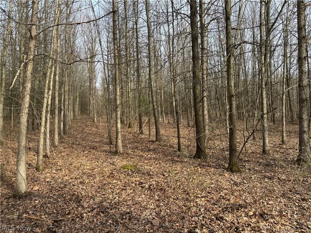 15961 Terramont Street NE, Minerva, OH 44657