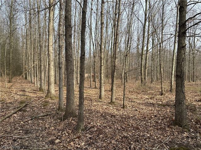 15961 Terramont Street NE, Minerva, OH 44657