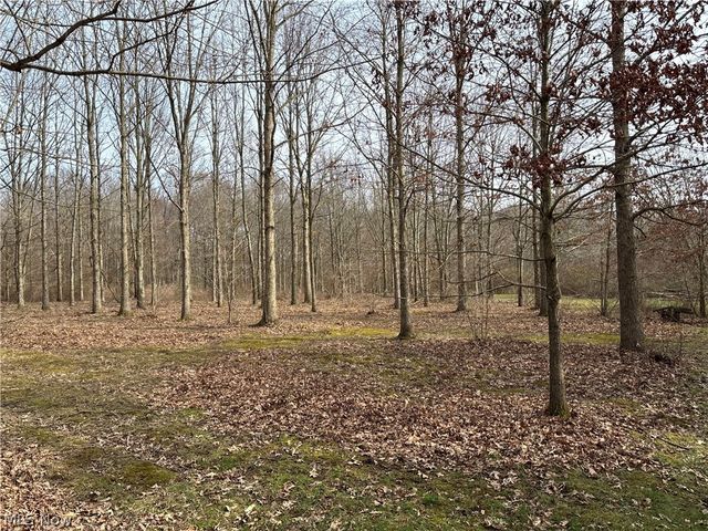 15961 Terramont Street NE, Minerva, OH 44657