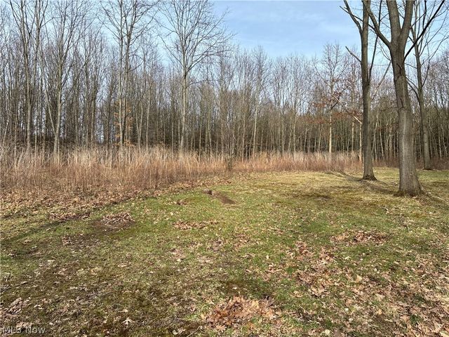 15961 Terramont Street NE, Minerva, OH 44657