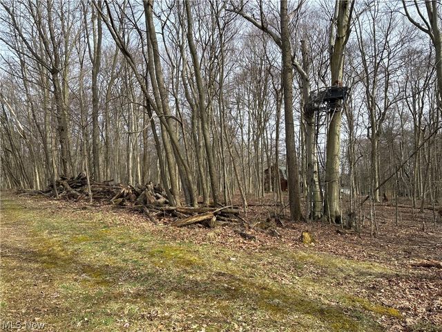 15961 Terramont Street NE, Minerva, OH 44657