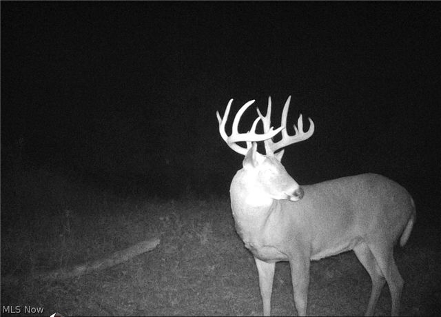 15961 Terramont Street NE, Minerva, OH 44657