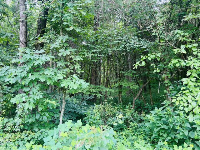 0 Pleasant Grove Road, Westmoreland, TN 37186