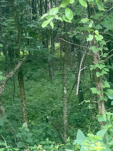 0 Pleasant Grove Road, Westmoreland, TN 37186