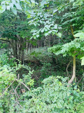 0 Pleasant Grove Road, Westmoreland, TN 37186