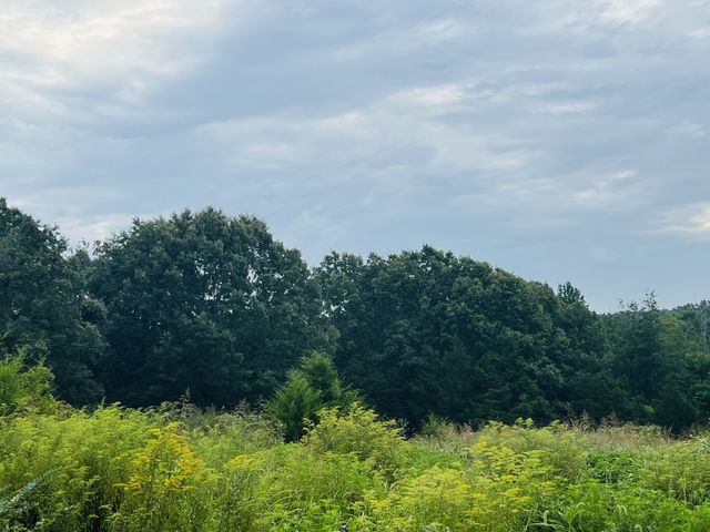 0 Pleasant Grove Road, Westmoreland, TN 37186