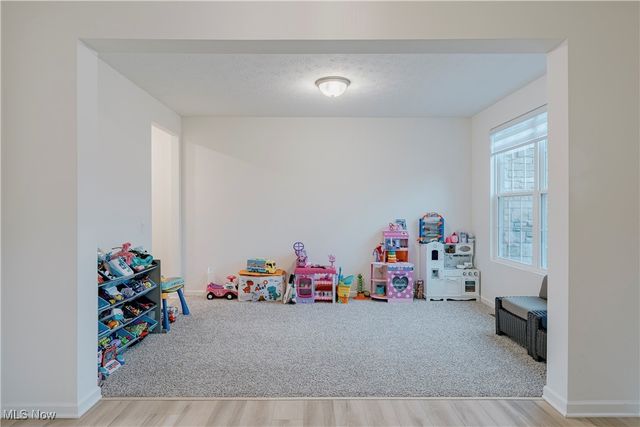 4433 Chaseline Ridge, Brunswick, OH 44212