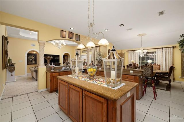 405 Anaqua Drive, Rio Grande City, TX 78582