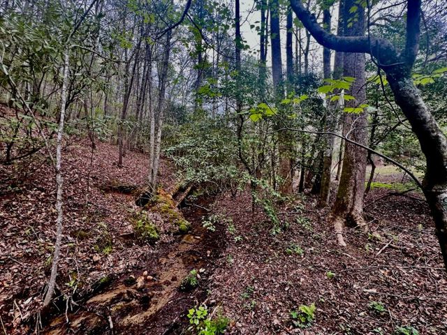 16378 W US 64, Murphy, NC 28906