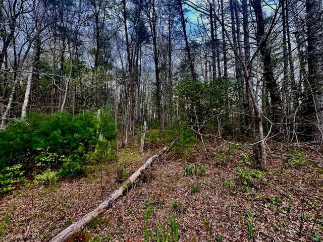 16378 W US 64, Murphy, NC 28906
