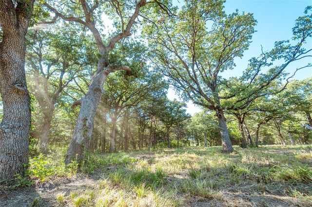 Lot 6 County Road 297, Gainesville, TX 76240