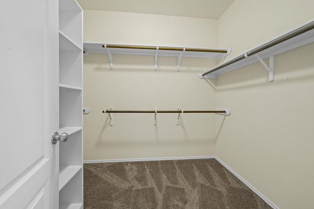 13815 Kodiak Brown Bear Street, Crosby, TX 77532