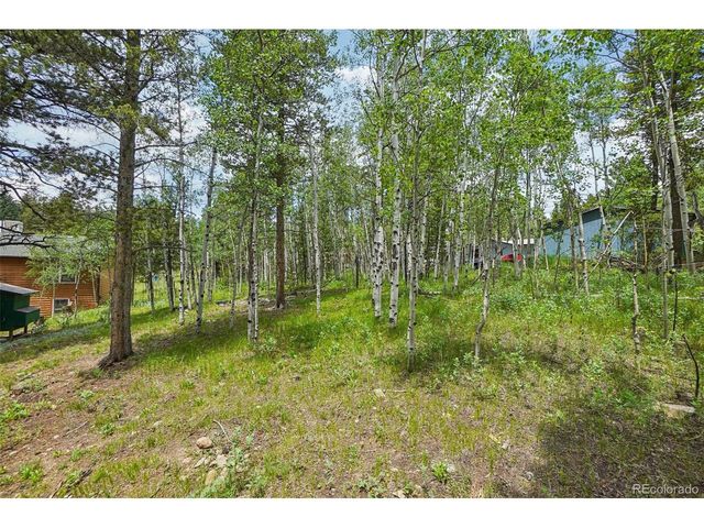 466 Karlann Dr, Black Hawk, CO 80422