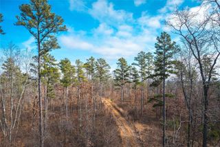 0 Delbridge Road, Potosi, MO 63664