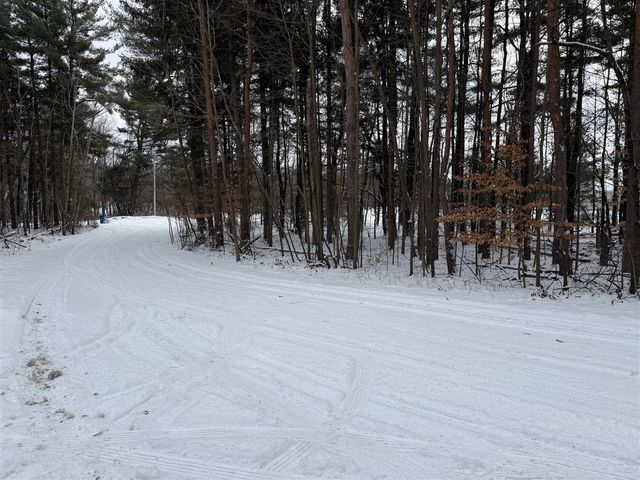 3500 Northkent Pine Drive, Kent City, MI 49330