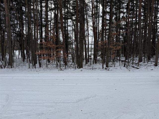 3500 Northkent Pine Drive, Kent City, MI 49330