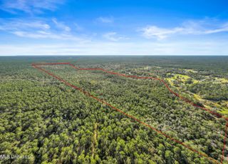 0 Reese Drive, Saucier, MS 39574