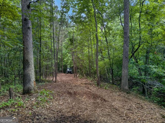 3512-2 Vinson Mountain Road, Rockmart, GA 30153