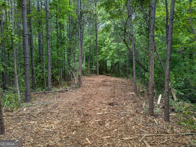3512-2 Vinson Mountain Road, Rockmart, GA 30153