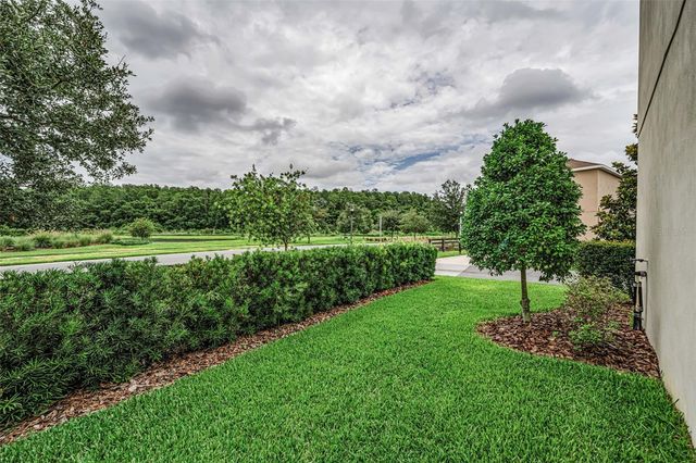 13760 STEVENSON LANE, Odessa, FL 33556