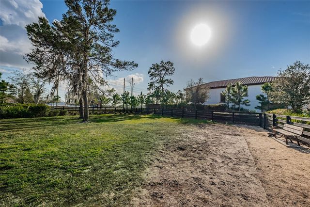 13760 STEVENSON LANE, Odessa, FL 33556