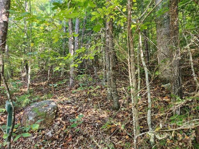 23 Overlook Park Drive 48, Hendersonville, NC 28792