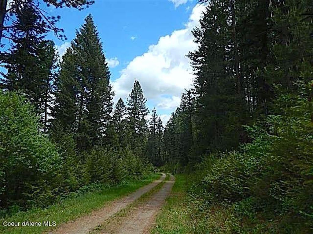 NKA HWY 95, Athol, ID 83801 photo 4