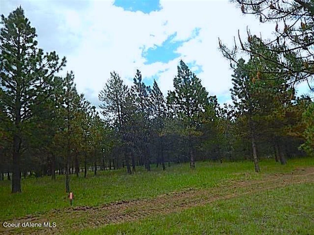 NKA HWY 95, Athol, ID 83801 photo 5