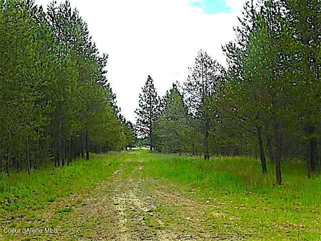 NKA HWY 95, Athol, ID 83801 photo 6