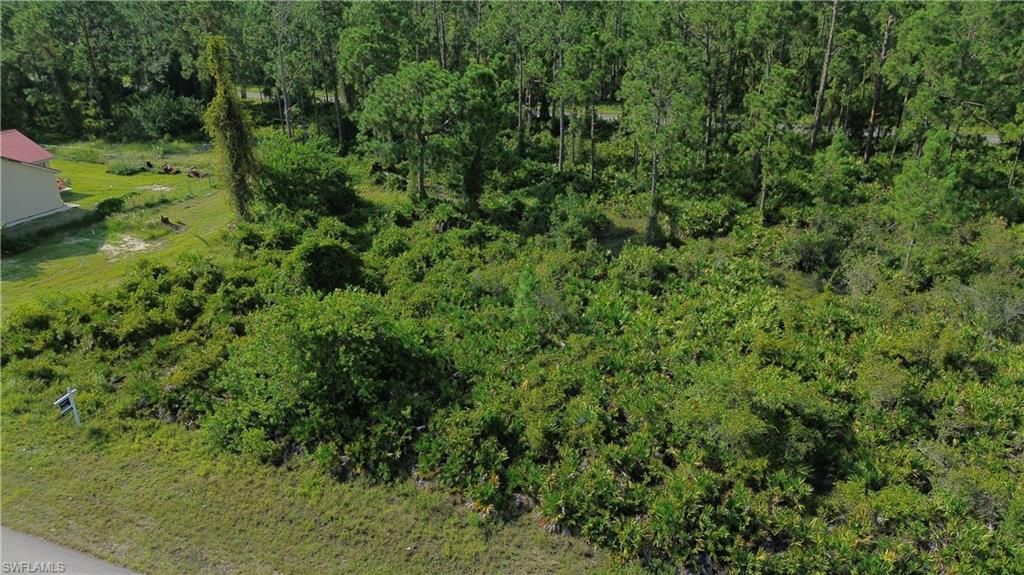 1115 Chiefland ST E, LEHIGH ACRES, FL 33974 — photo 4