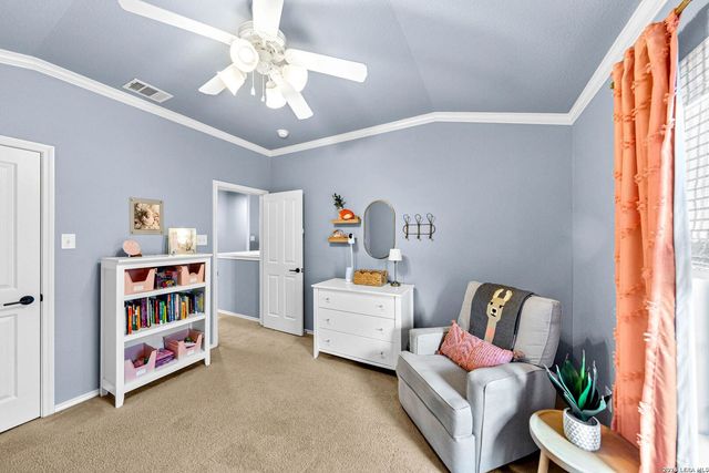 3707 Cotoneaster, San Antonio, TX 78261