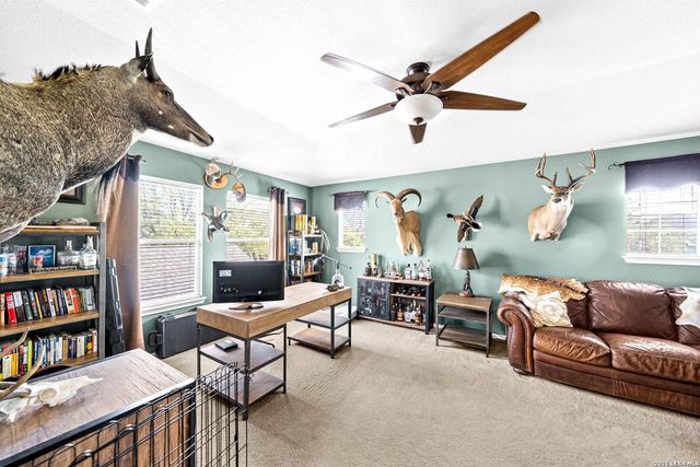 3707 Cotoneaster, San Antonio, TX 78261