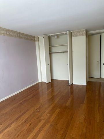 4800 S Chicago Beach Drive 910S, Chicago, IL 60615