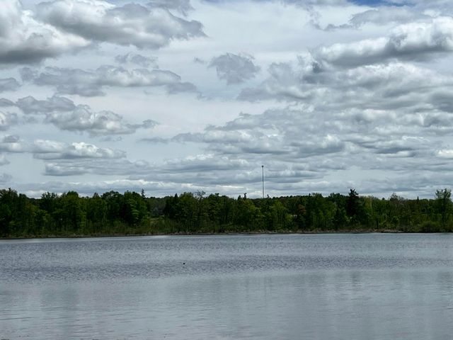 10020 N Musson Road 155, Belvidere Twp, MI 48886