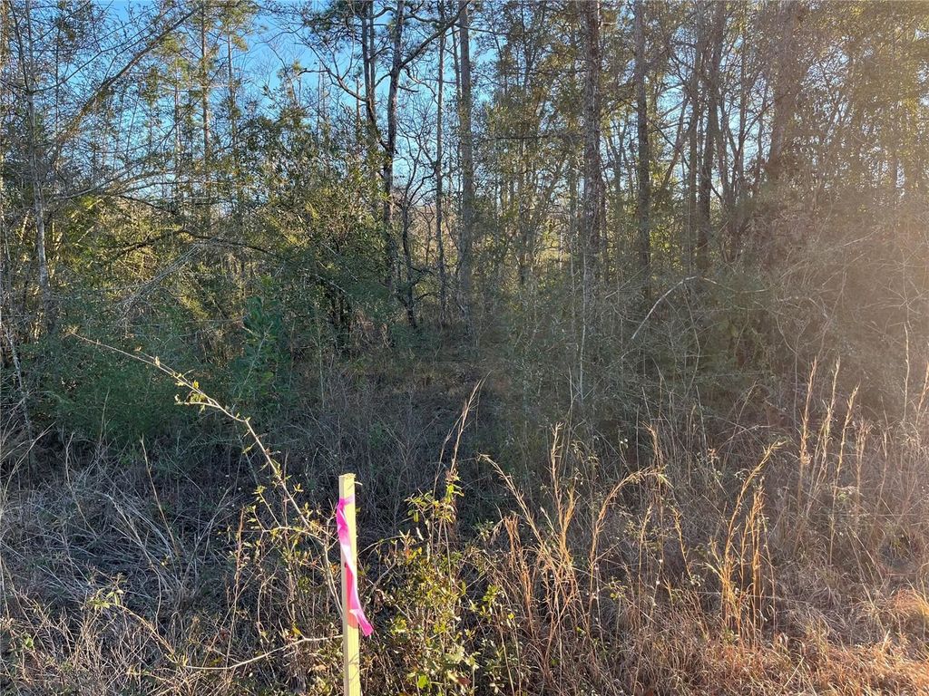 TBD Goreville Avenue, Alford, FL 32420