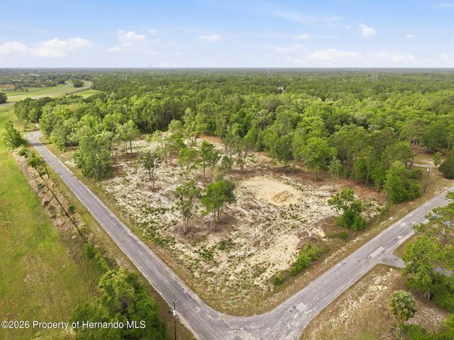 14235 Carolina Dove Road, Weeki Wachee, FL 34614