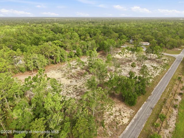 14235 Carolina Dove Road, Weeki Wachee, FL 34614