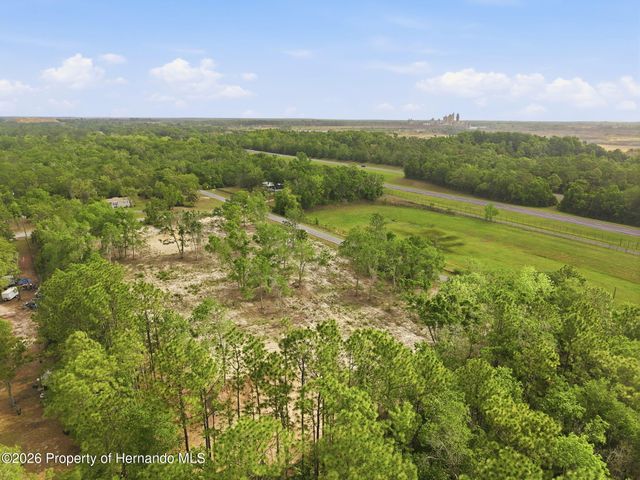 14235 Carolina Dove Road, Weeki Wachee, FL 34614